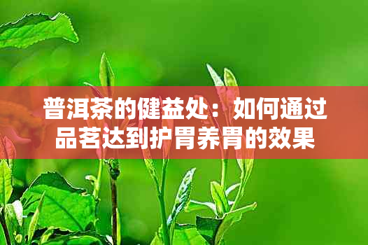 普洱茶的健益处：如何通过品茗达到护胃养胃的效果