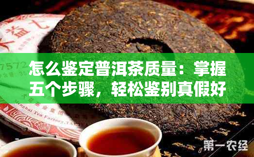 怎么鉴定普洱茶质量：掌握五个步骤，轻松鉴别真假好坏