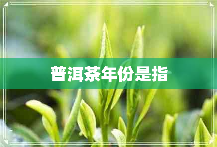 普洱茶年份是指