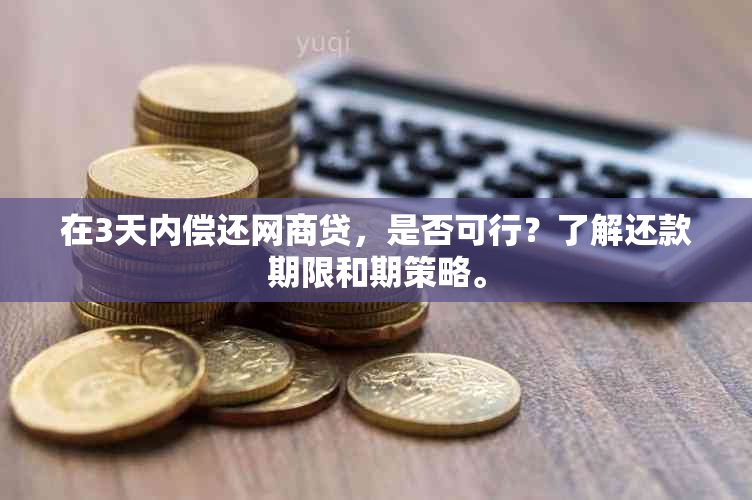 在3天内偿还网商贷，是否可行？了解还款期限和期策略。