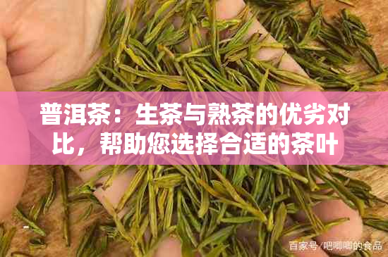 普洱茶：生茶与熟茶的优劣对比，帮助您选择合适的茶叶