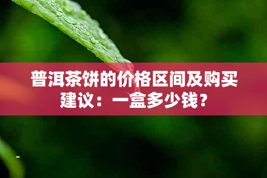 普洱茶饼的价格区间及购买建议：一盒多少钱？