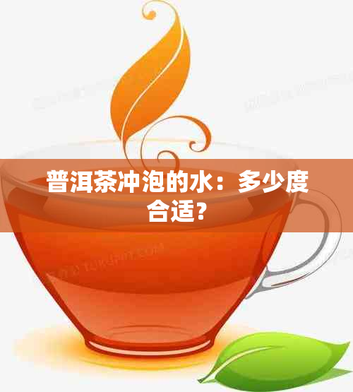 普洱茶冲泡的水：多少度合适？