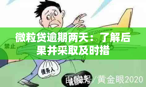 微粒贷逾期两天：了解后果并采取及时措