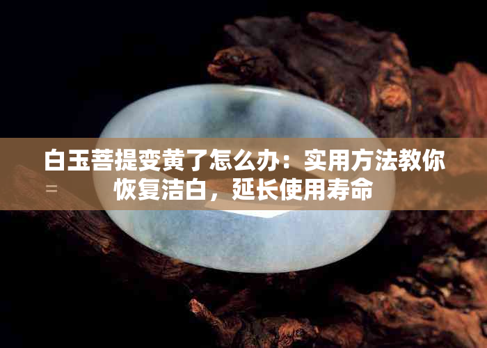 白玉菩提变黄了怎么办：实用方法教你恢复洁白，延长使用寿命