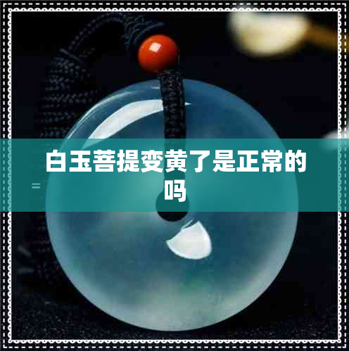 白玉菩提变黄了是正常的吗