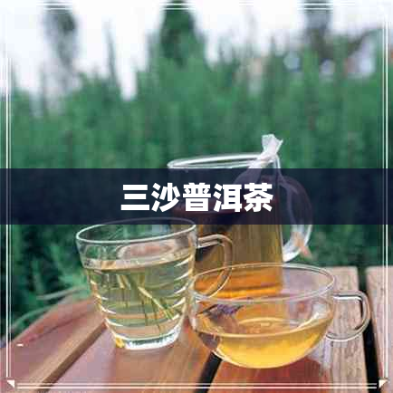 三沙普洱茶