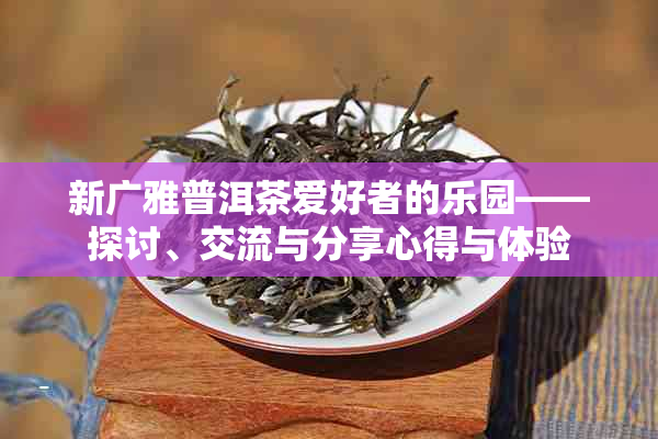 新广雅普洱茶爱好者的乐园——探讨、交流与分享心得与体验