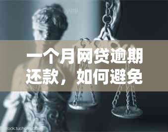 一个月网贷逾期还款，如何避免罚息和信用损失？