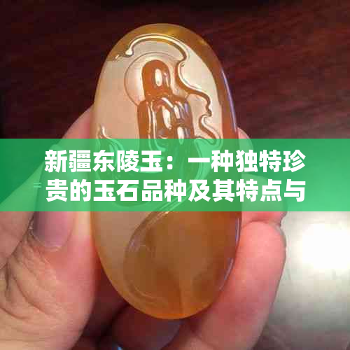 新疆东陵玉：一种独特珍贵的玉石品种及其特点与用途