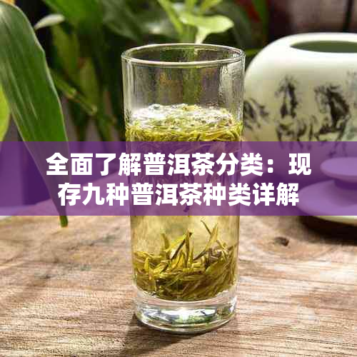 全面了解普洱茶分类：现存九种普洱茶种类详解