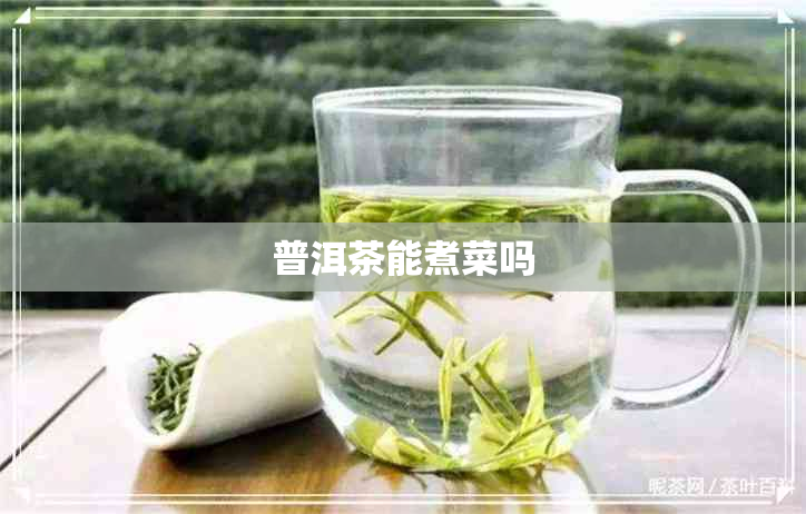 普洱茶能煮菜吗