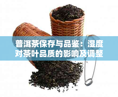 普洱茶保存与品鉴：湿度对茶叶品质的影响及调整方法全面解析