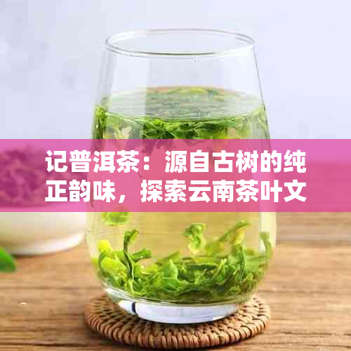 记普洱茶：源自古树的纯正韵味，探索云南茶叶文化的独特魅力