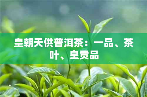 皇朝天供普洱茶：一品、茶叶、皇贡品