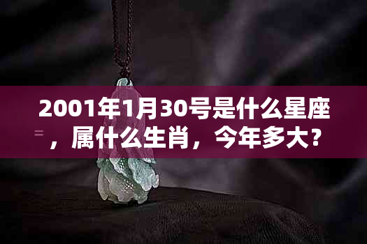 2001年1月30号是什么星座，属什么生肖，今年多大？