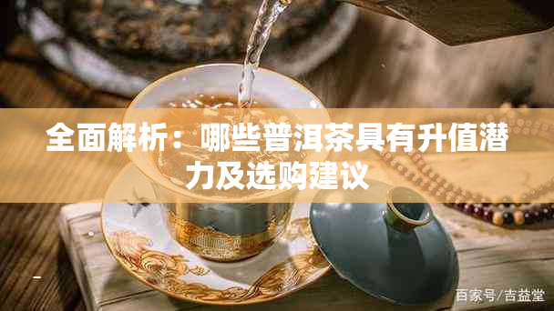 全面解析：哪些普洱茶具有升值潜力及选购建议