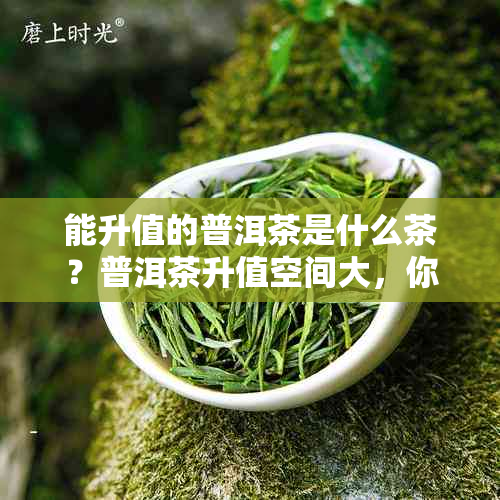 能升值的普洱茶是什么茶？普洱茶升值空间大，你不可错过！