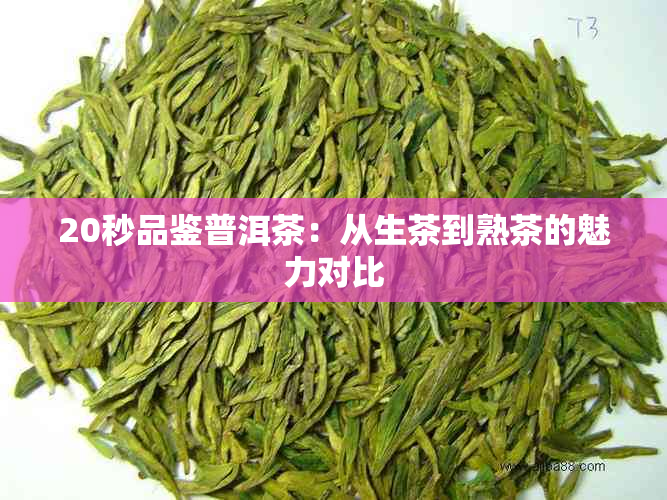 20秒品鉴普洱茶：从生茶到熟茶的魅力对比