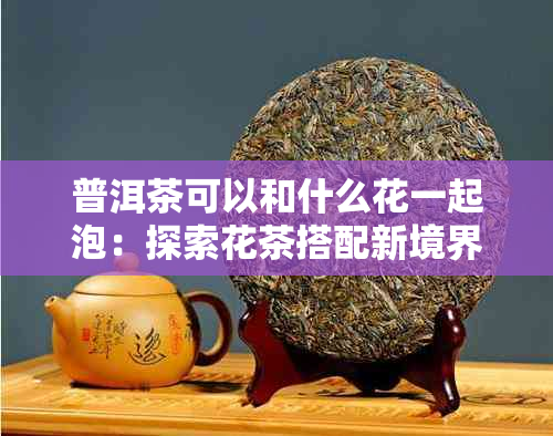 普洱茶可以和什么花一起泡：探索花茶搭配新境界