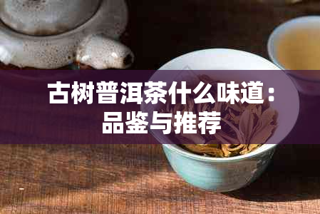 古树普洱茶什么味道：品鉴与推荐