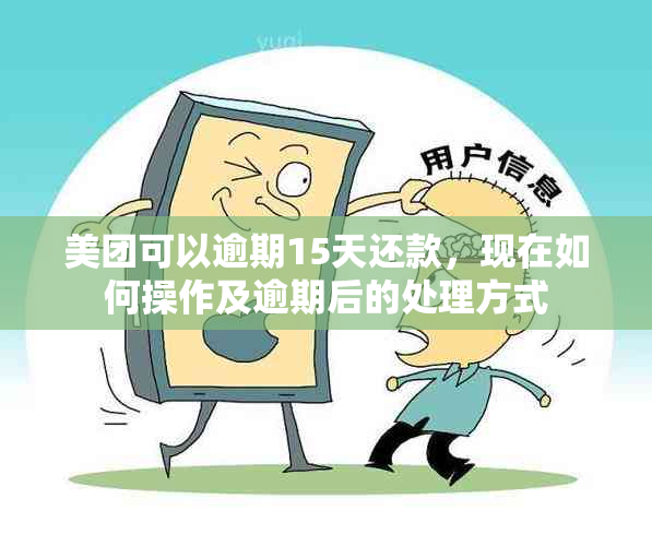 美团可以逾期15天还款，现在如何操作及逾期后的处理方式