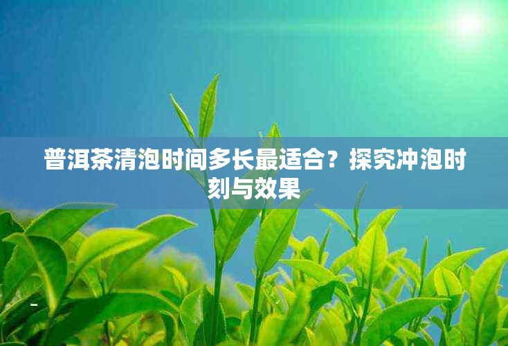 普洱茶清泡时间多长最适合？探究冲泡时刻与效果