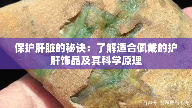 保护肝脏的秘诀：了解适合佩戴的护肝饰品及其科学原理