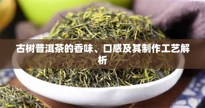 古树普洱茶的香味、口感及其制作工艺解析