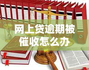 网上贷逾期被怎么办？请提供相关建议。