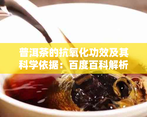 普洱茶的抗氧化功效及其科学依据：百度百科解析