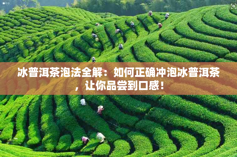 冰普洱茶泡法全解：如何正确冲泡冰普洱茶，让你品尝到口感！