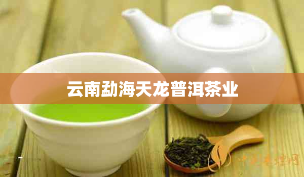 云南勐海天龙普洱茶业