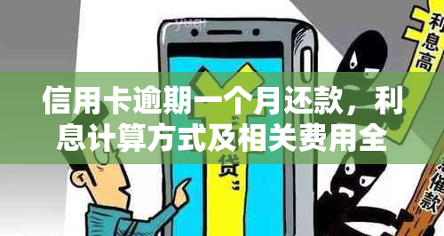 信用卡逾期一个月还款，利息计算方式及相关费用全面解析