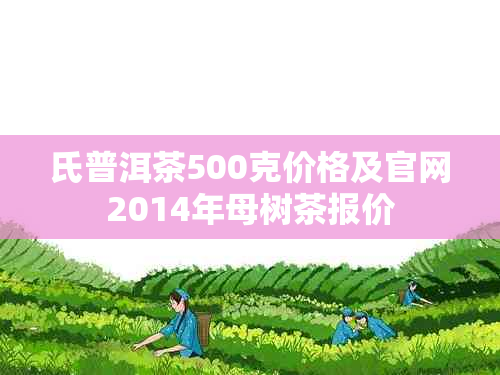 氏普洱茶500克价格及官网2014年母树茶报价