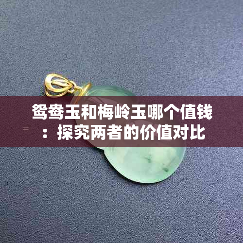 鸳鸯玉和梅岭玉哪个值钱：探究两者的价值对比