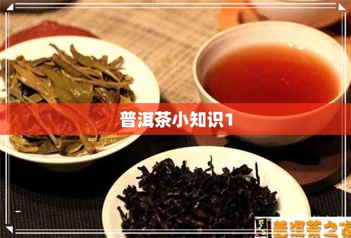 普洱茶小知识1