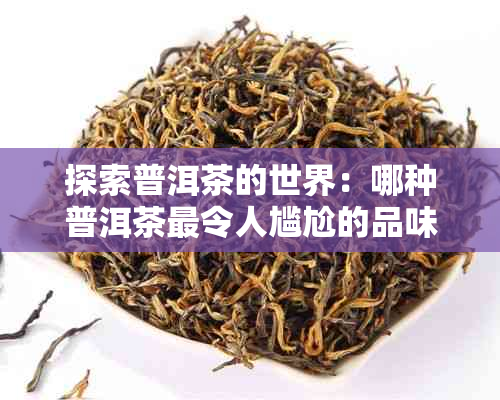 探索普洱茶的世界：哪种普洱茶最令人尴尬的品味体验