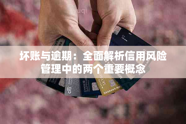 坏账与逾期：全面解析信用风险管理中的两个重要概念