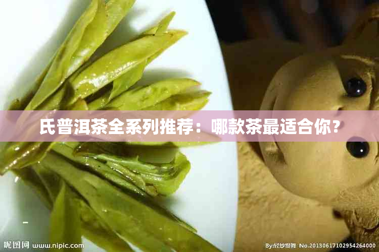 氏普洱茶全系列推荐：哪款茶最适合你？