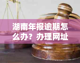 湖南年报逾期怎么办？办理网址、申报信息全解析！