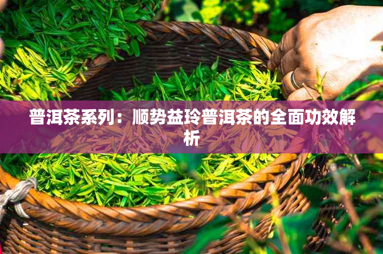 普洱茶系列：顺势益玲普洱茶的全面功效解析