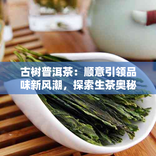 古树普洱茶：顺意引领品味新风潮，探索生茶奥秘