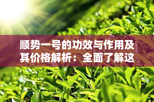 顺势一号的功效与作用及其价格解析：全面了解这款产品的价值