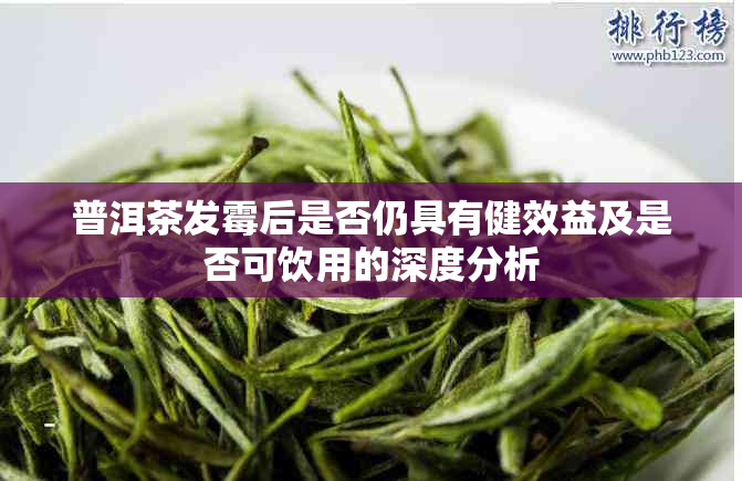 普洱茶发霉后是否仍具有健效益及是否可饮用的深度分析