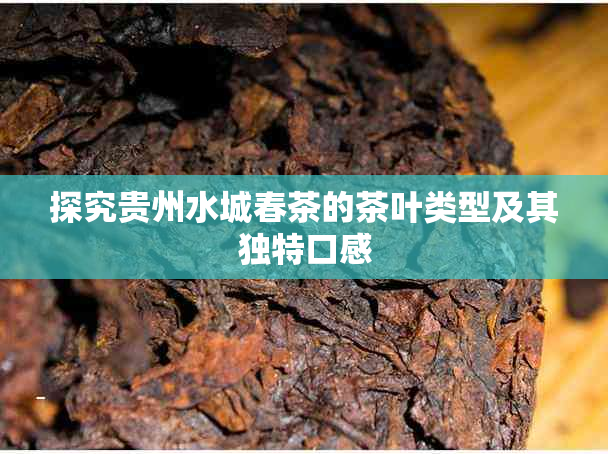 探究贵州水城春茶的茶叶类型及其独特口感