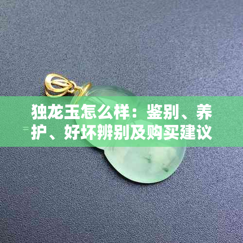 独龙玉怎么样：鉴别、养护、好坏辨别及购买建议