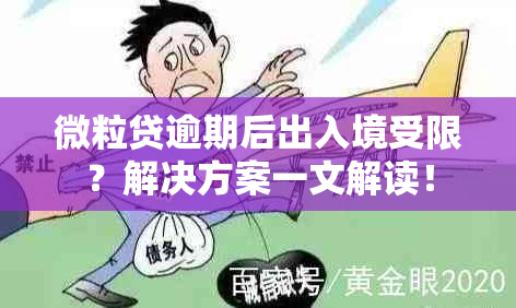 微粒贷逾期后出入境受限？解决方案一文解读！