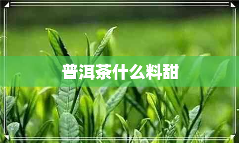 普洱茶什么料甜