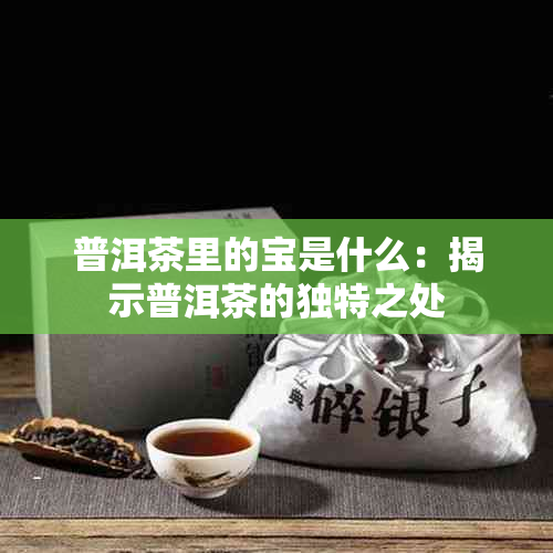 普洱茶里的宝是什么：揭示普洱茶的独特之处